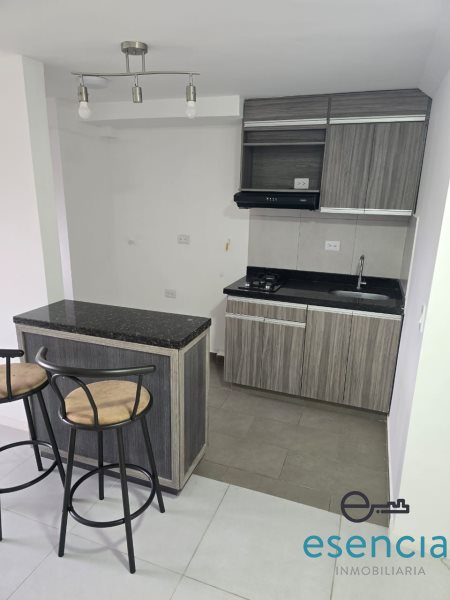 Apartamento en Arriendo en Ditaires